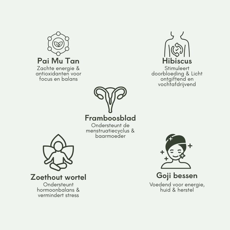Waarom Bloom & Balance werkt