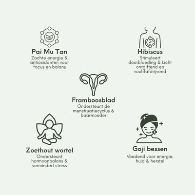 Bloom & Balance