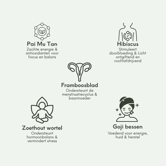 Bloom & Balance